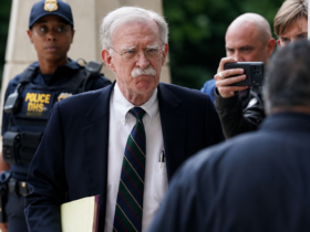 John Bolton Pleads Guilty