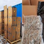 Record-Breaking £139m Cannabis Seizure after authorities intercepted 12 tonnes of cannabis imported from Canada to the UK.