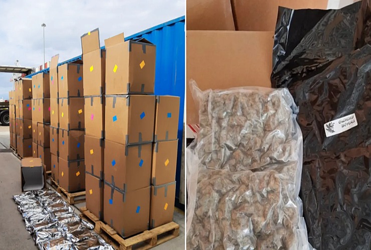 Record-Breaking £139m Cannabis Seizure after authorities intercepted 12 tonnes of cannabis imported from Canada to the UK.