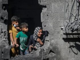 Israel Genocide in Gaza report discussing allegations involving Palestinian children and humanitarian concerns.