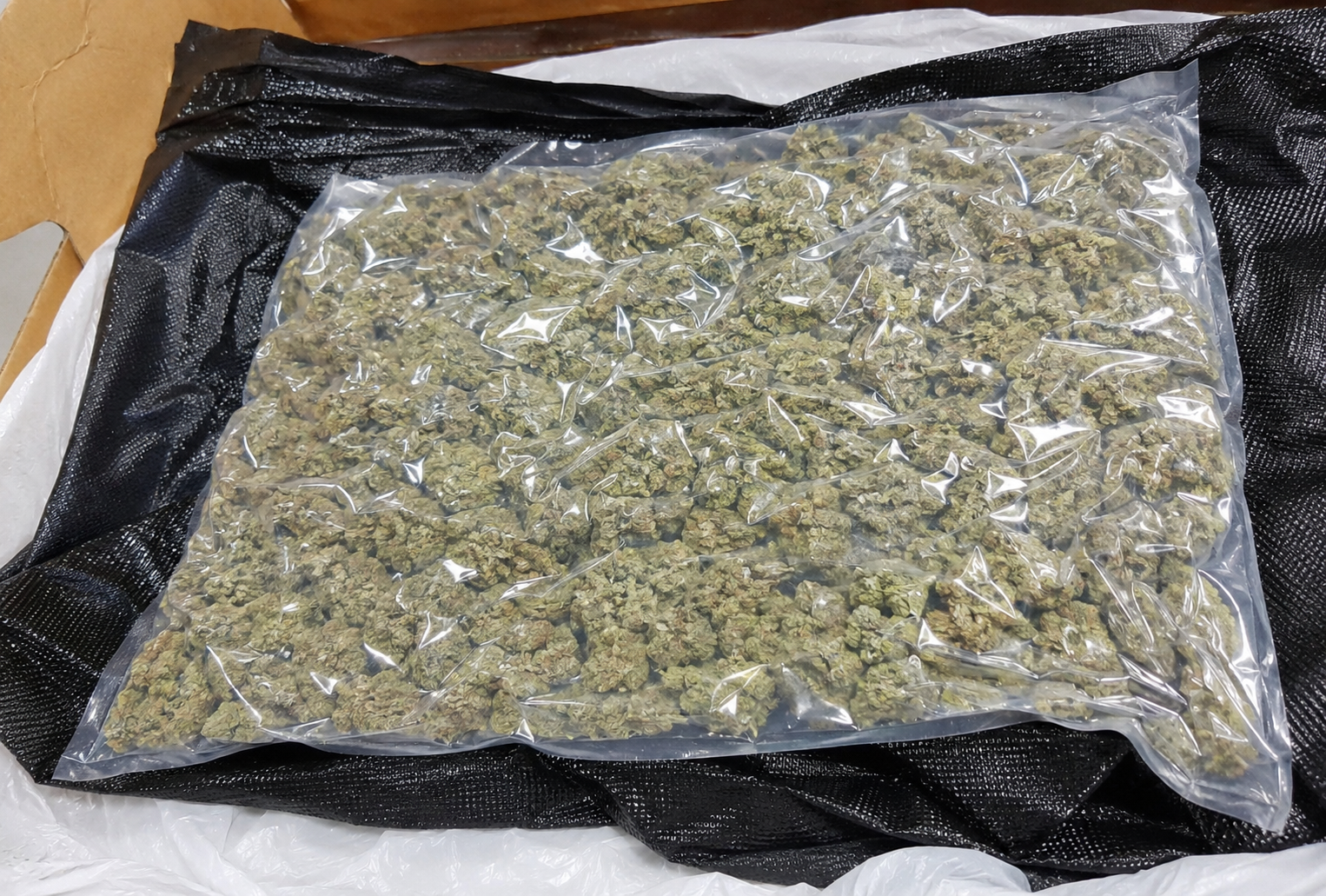 Border security officers inspect luggage during a Thailand cannabis smuggling investigation at an international airport.